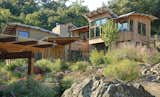 The homestead is designed as a series of east-west running volumes, roughly paralleling the topography and stepping up the hill. Boulders discovered during excavation were located throughout the gardens.  Photo 13 of 21 in Healdsburg Family House by Arkin Tilt Architects