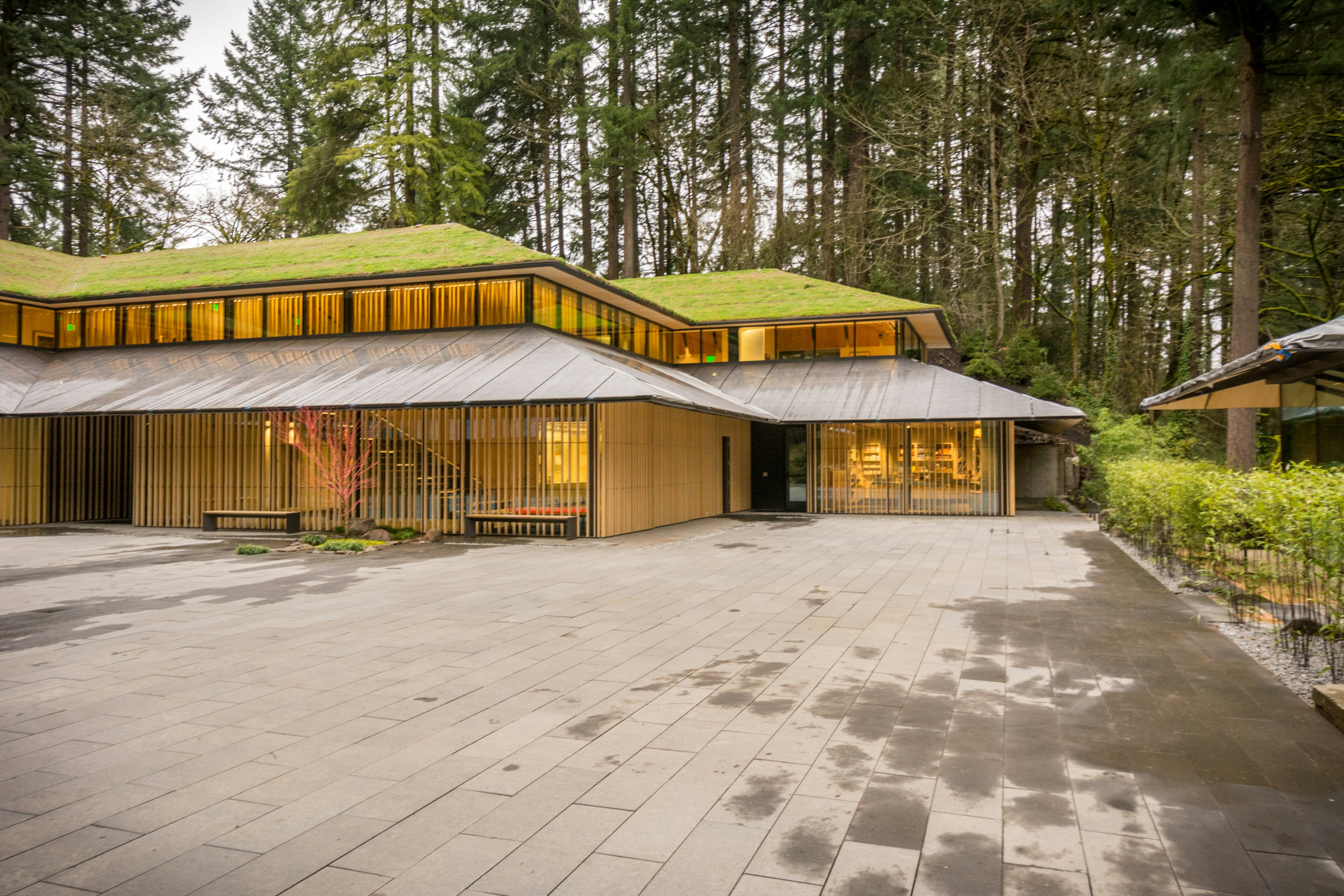 Take a Tour of Kengo Kuma