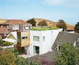 For the remodel of his family’s home in San Francisco, designer Peter Liang&nbsp;undertook a two-part landscaping renovation. First, he planted a living roof. Then, with the help of landscape architect Andrea Cochran,&nbsp;he redid the backyard. "I wanted to plant a green roof for its thermal mass, but I wanted it to be as natural as possible," Liang says. The resulting 580-square-foot green roof is like a piece of the hill; its indigenous vegetation—seeded by birds and wind—is irrigated only by seasonal rain and dew. Purple thistles, California poppies, clover, and dandelions have all taken root in the roughly ten-inch-deep, lightweight humus and grape-husk soil.