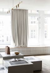 Living Room and Ceiling Lighting  Photo 5 of 12 in Spotlight on Multidisciplinary Danish Design Studio, Norm Architects