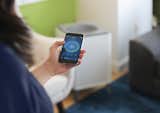 The Airmega mobile app lets you remotely change settings on Wi-Fi enabled units and monitor the air quality in your home anytime, from anywhere. It also can give you real-time air quality notifications, filter lifetime monitoring and a scheduler.&nbsp;