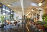 The Ace Hotel's Newest Location Embraces Chicago's Design History - Photo 8 of 20 - 