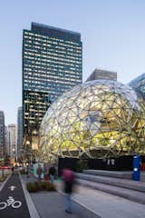 Exterior, Dome RoofLine, and Glass Siding Material In addition to the plants themselves, the interior also includes tree houses, bridges, a waterfall and a conference room enclosed by greenery.  Photo 4 of 9 in Meet Downtown Seattle's Newest Landmark: The Amazon Spheres