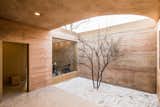 Outdoor, Wood, Trees, Gardens, Hardscapes, Decking, Side Yard, and Back Yard An interior courtyard.  Outdoor Back Yard Wood Side Yard Trees Photos from An Old Cave Dwelling in Central China Is Transformed Into a Stylish Home