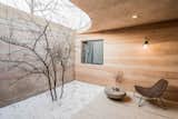 Outdoor, Garden, Trees, Side Yard, Small Patio, Porch, Deck, and Hanging Lighting An interior courty  Photos from An Old Cave Dwelling in Central China Is Transformed Into a Stylish Home