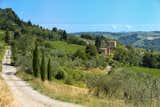 The property comes with six acres planted with cypress and olive trees.