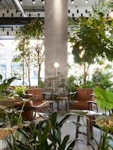 Dining Room, Wall Lighting, Concrete Floor, Chair, Track Lighting, and Stools The cafe's central lounge area houses the lush indoor garden. 

  Photo 4 of 10 in This New Brooklyn Cafe Is Brewing Up More Than Tasty Artisanal Coffee