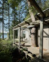 Outdoor, Side Yard, Wood Patio, Porch, Deck, Woodland, and Trees Over the years, the transformation of the retreat has respected the special character of the site and integrated the surrounding nature.  Photos from A Mesmerizing Cabin in Puget Sound Evolves Over Several Decades