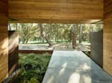Framing the views required a careful negotiation of the balance between the oak cluster and clearing.&nbsp;