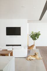 Living Room, Standard Layout Fireplace, Ceiling Lighting, Sofa, Medium Hardwood Floor, Chair, Recessed Lighting, and Concrete Floor Greene's golden retriever, Hudson, hanging out in the living room. 

  Photos from A Dark Midcentury Becomes a Luminous Gem