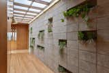 A skylit entry hall features a concrete block "living wall," as well as new oak flooring.