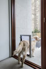Windows, Casement Window Type, Picture Window Type, and Wood A close-up of the dog-door leading out to the backyard.  Photos from An Elegant Edwardian Home Is Treated to a Thoughtful Revamp