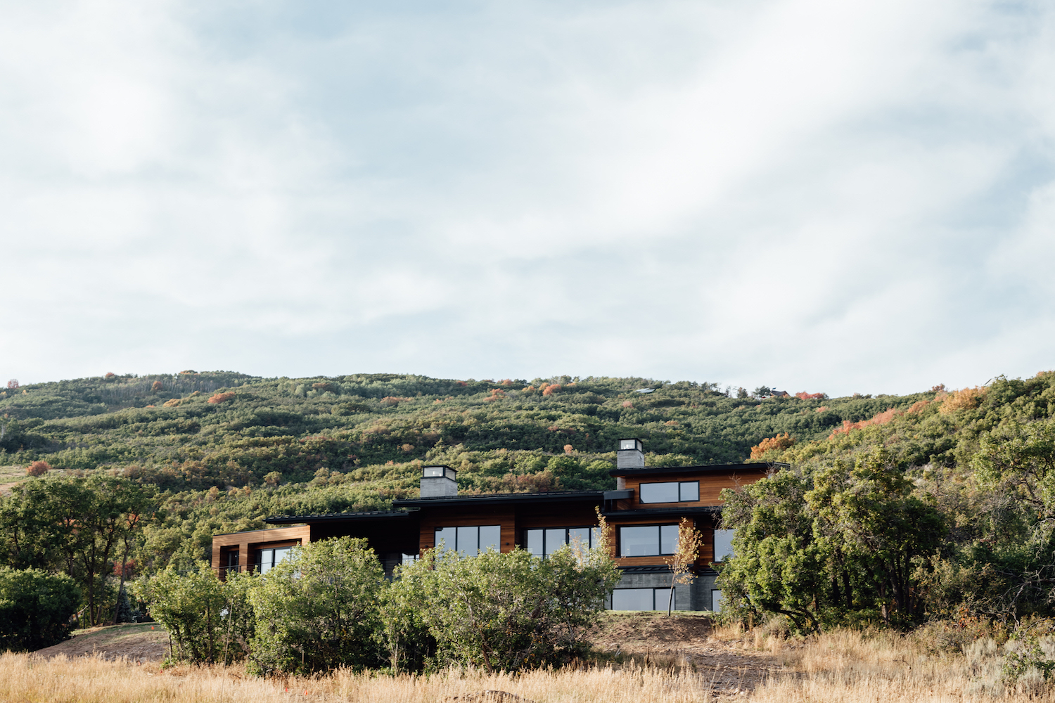 original.jpg?ar=1:1&fit=crop