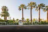 The home sits on a 16,000-square-foot lot which has been beautifully landscaped with rows of cacti and palm trees.&nbsp;