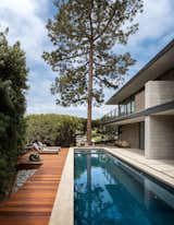 A tall tree perfectly aligns with the lap pool. The pool furniture is from Modernica's case study line.