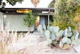 Exterior, House Building Type, Wood Siding Material, Glass Siding Material, Flat RoofLine, and Mid-Century Building Type The home has been professionally landscaped with native drought-resistant plants.  Photos from An Updated Eichler With an Indoor-Outdoor Master Bath Seeks $1.15M