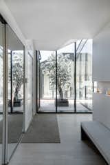 Floor-to-ceiling walls of glass flood the interior with natural light while providing views of a courtyard-like terrace with a tree.