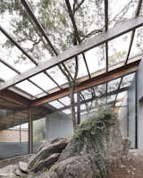 The outcrop of rock and a tree have been incorporated into the design of the home. 