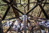 The floor panels are transparent, providing the feeling of total immersion in the forest. 