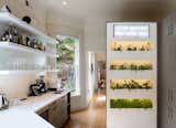 The kitchen enjoys natural light and features white Corian counters, custom powder-coated aluminum shelves, and a WallyGro greens wall with automatic watering and lighting integration. The family uses the greens and herbs in their meals.