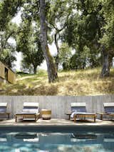  The Vis a Vis loungers are from Janus et Cie. 