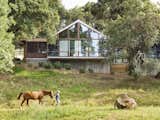 This Breathtaking Ranch Home Was Constructed Without Felling a Single Tree