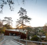 Cantilevered over a steep hillside in the Los Angeles neighborhood of Echo Park, House in the Trees is nestled between three enormous cedar trees—with a fourth tree that cuts directly through a bedroom and out through the roof. Designed by Simon Storey of Anonymous Architects, the interior is clad in timber and features reclaimed wormy chestnut timber floors that respond to the surrounding landscape. There’s even a bespoke timber bookcase that doubles as a stair leading to a hidden loft playroom.&nbsp;&nbsp;
