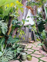 Tucked between banana trees, the backyard shack is currently being used for storage, but could easily be converted into a yoga room or meditation space.&nbsp;