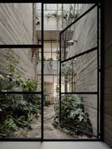 A large glass door on the ground floor opens to the greenery-filled light well.