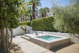 Alexander Home Midcentury Palm Springs Spa Pool outdoor