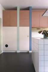 Color-blocked cabinets include a tall, pale pink door that discretely hides the cat's litter box.&nbsp;