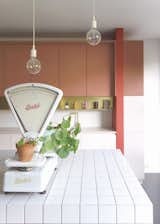 Dries Otten Le Fils du Boucher colorful kitchens