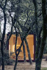 Outdoor, Trees, Garden, and Back Yard Set in a garden, the prefab structure is the perfect mix of good design and convenience.  Photos from A Prefab Office Adds Rugged Good Looks to a Backyard in Madrid for $68K