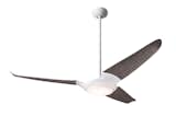 IC/Air 3
Gloss White Finish
Graywash Blades
LED Light Kit (optional)