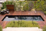 Greenscreen/ IPE hard wood deck/ Pool

