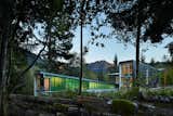 Exterior, Cabin Building Type, Metal Roof Material, Shed RoofLine, Wood Siding Material, House Building Type, Green Siding Material, and Glass Siding Material  Photo 1 of 19 in Bear Run Cabin by David Coleman / Architecture