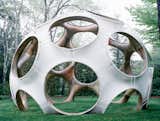 Buckminster Fuller, Fly Eye Dome