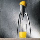Juicy Salif: A truly iconic object and symbol not only of Philippe Starck but of Alessi itself, this citrus squeezer - as revolutionary as it is surprisingly functional - was sketched in its essentials by Starck during a holiday by the sea in Italy, on a pizzeria napkin.