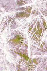 Frozen by Moooi Works ∙ moooi carpets