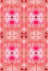 Spiroflower by Moooi Works ∙ moooi carpets