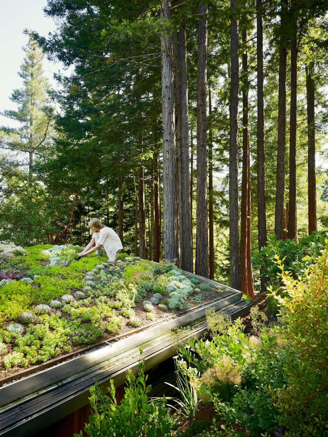Photo 6 of 11 in These Art and Yoga Cabins Mimic California’s Majestic Forests from Mill Valley