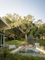 Outdoor, Large Pools, Tubs, Shower, and Back Yard  Photo 12 of 22 in Ranch O|H by Feldman Architecture