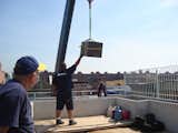  Photo 4 of 8 in what it takes to build a roof garden in nyc by pulltab