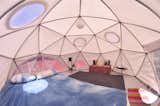 #geodesicdome #dome #bucky  #pacificdomes #sanfrancisco   Photo 2 of 8 in Dome Home, San Francisco by Clifford Nies