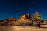 #photography #joshuatree #landscape

Photo courtesy of Clifford Nies  Photo 3 of 5 in Landscapes by Clifford Nies