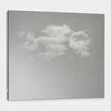 Lucid Mirror, Adam Frank