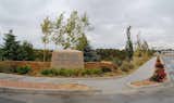  Photo 13 of 14 in healing gardens by Solange Serquis Landscape Architect