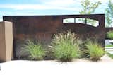  Photo 4 of 7 in Desert steel by Solange Serquis Landscape Architect
