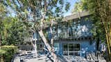 The house sits on a 10,414-square-foot double lot with plenty of outdoor living space. A vegetable garden and an orchard with five varieties of fruit trees flourish on the site.