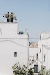  Photo 1 of 64 in Wake Up in an Olive Grove at This Captivating Italian Bed-and-Breakfast by Jenny Xie